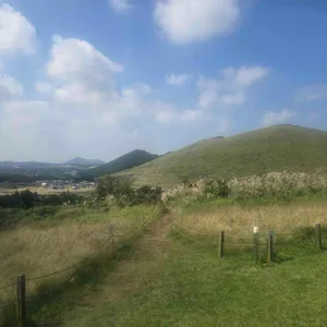 새빌 리뷰 사진