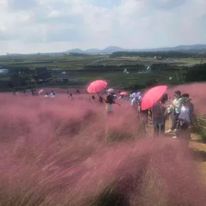 새빌 리뷰 사진