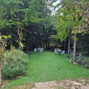 프루터리 포레스트 리뷰 사진