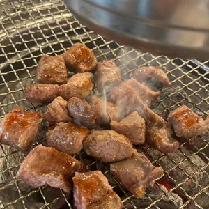 황소고집 사진 1