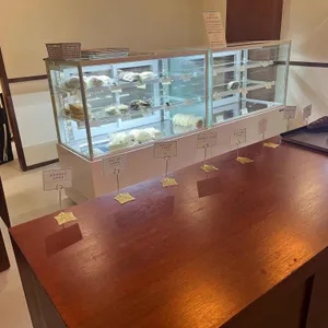 후와후와 대표 사진