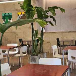 원장커피 리뷰 사진