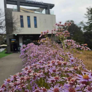 커피하우스178 사진 1
