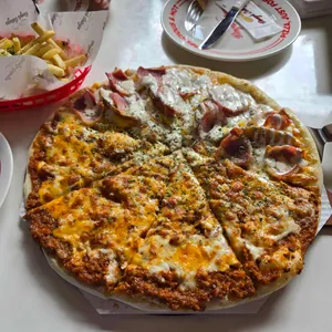 도우개러지 사진 2