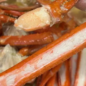 광성홍게장군 사진