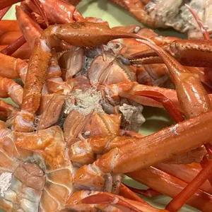 광성홍게장군 사진