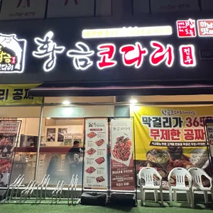 황금코다리 사진