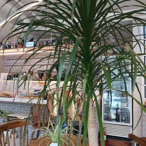 까마귀 커피앤티랩 리뷰 사진