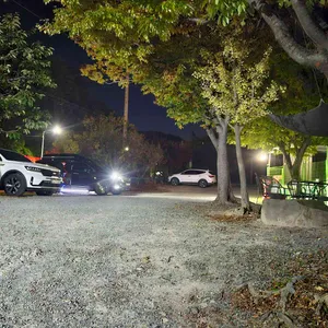 무룡매운탕 리뷰 사진