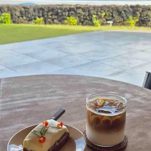 오스모시스 사진