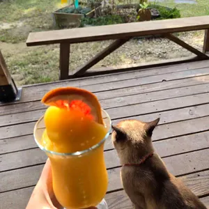 필하우스 리뷰 사진