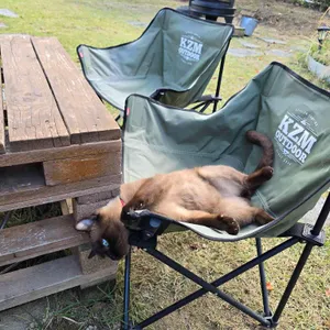 필하우스 리뷰 사진