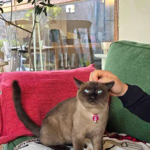 필하우스 리뷰 사진