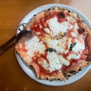 다레오 대표 사진