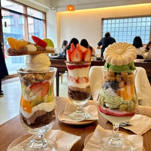 목련양과 대표 사진