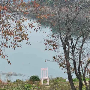 글루글루 리뷰 사진