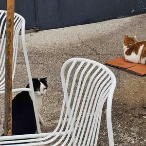 글루글루 리뷰 사진