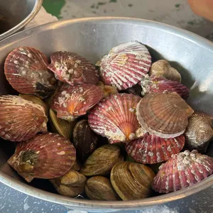 보경이네 사진 1