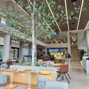 베툴라 리뷰 사진