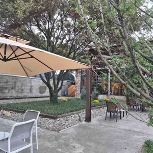 비발디 리뷰 사진