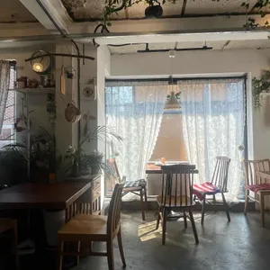 데일리라운드 리뷰 사진