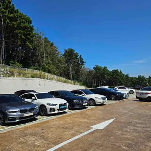 루아앤티그리 리뷰 사진