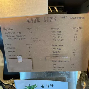 라이프라이크 리뷰 사진