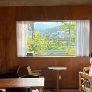 라이프라이크 리뷰 사진