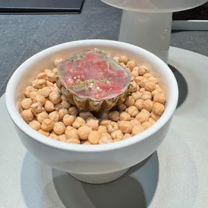 한견례 대표 사진