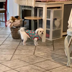 시아로하우스 리뷰 사진