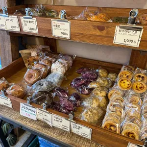 타르데마1942 리뷰 사진