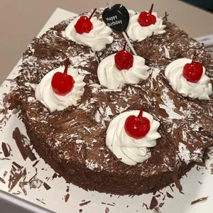 타르데마1942 사진