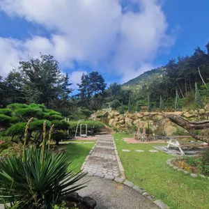 시너리 대표 사진