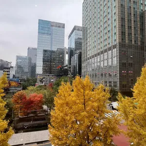 히바린 리뷰 사진