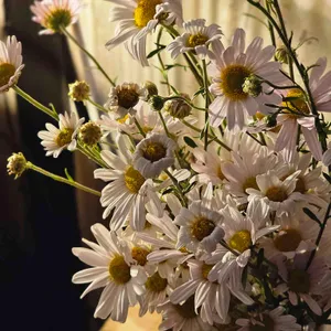 재해석 리뷰 사진