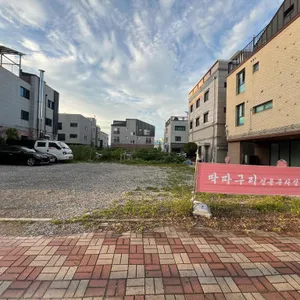 딱따구리 리뷰 사진