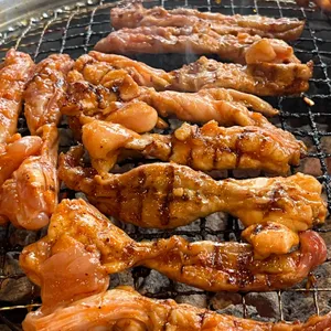 딱따구리 대표 사진