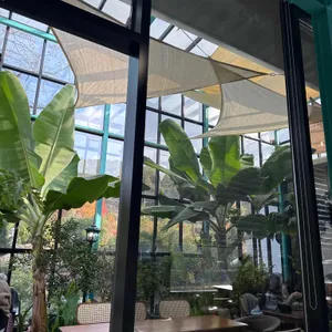 라이트 빈 대표 사진