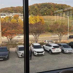 엘리 리뷰 사진