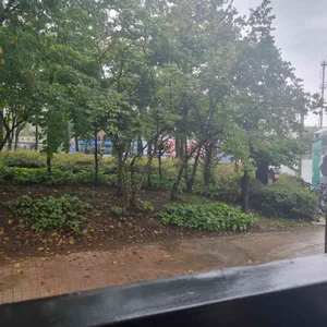 부오노 베이커리 하우스 리뷰 사진