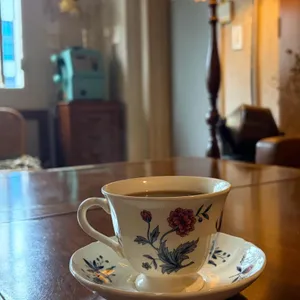 필담 대표 사진