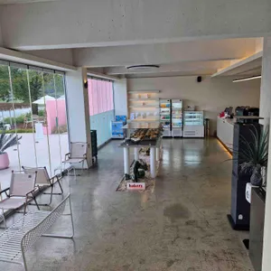 로우풀 리뷰 사진