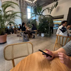 사우스플랜 리뷰 사진