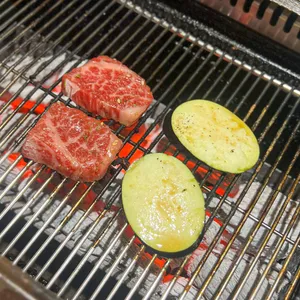 호루몬규상 사진