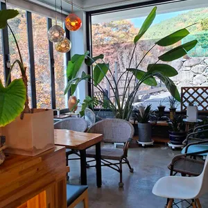 카페 로투스 리뷰 사진