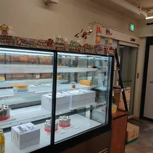 알레아파리 리뷰 사진