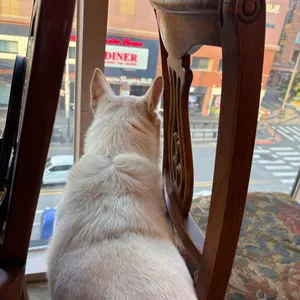 Spoonery 리뷰 사진