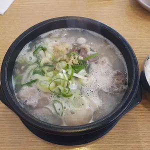 속초아바이 신다신 사진