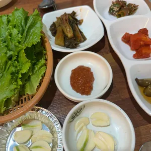 통갈매기바다로날다 사진