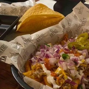 바토스 대표 사진